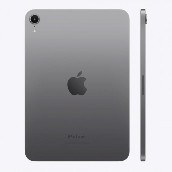 iPad mini Wi-Fi 256GB - Space Gray