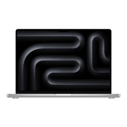 16-inch MacBook Pro - Silver (Base Config: 14-Core M4 Max, 36GB Memory, 1TB Storage)